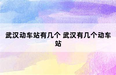 武汉动车站有几个 武汉有几个动车站